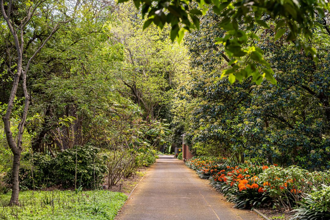 Premier Development Group - Content Photos_05